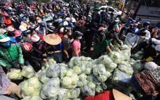Tiêu thụ nông sản vùng dịch: "Mới chỉ gỡ được phần nào!"