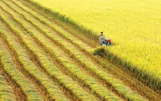 Thủ tướng đồng ý chuyển mục đích sử dụng đất trồng lúa tại Long An