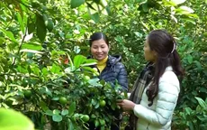 Đổi thay trên quê hương cách mạng Kim Bình lịch sử