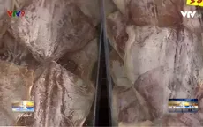 Thận trọng lựa chọn mực khô dịp Tết