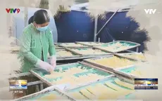 Lạ mắt mứt rong sụn ngày Tết