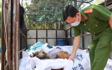 Phát hiện, bắt giữ xe tải vận chuyển gần 400 kg gà chết