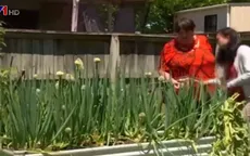 Khu vườn cộng đồng nở rộ ở Australia