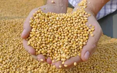 Giá nông sản thế giới tăng vọt, nhiều nước châu Âu bối rối