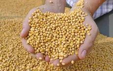 Siêu chu kỳ hàng hóa mới đang xuất hiện?