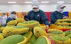 Xuất khẩu rau quả tăng mạnh ở nhiều thị trường khó tính