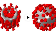 Sóng siêu âm có thể tiêu diệt virus SARS-CoV-2?