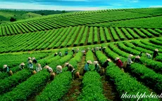 Đo hiệu quả chính sách bằng sự thịnh vượng của người dân