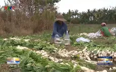 Học sinh sáng chế máy rửa rau củ tại ruộng