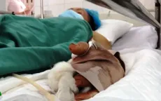 Trồng sả để phòng rắn, 2 người bị rắn cắn