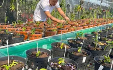 Nghệ nhân Đinh Quyền và câu chuyện đi hàng trăm cây số tìm lan