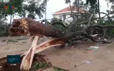 Lâm Đồng mưa lớn kèm lốc xoáy tốc mái nhiều nhà dân