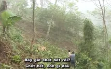 Hô biến rừng tự nhiên thành "vàng" chảy vào túi riêng: Em sai rồi, cho em được... trồng lại "rừng"!