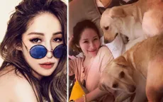 Rộ tin sao Đài Loan phải nhập viện vì bị chó cắn vào mặt