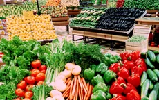 Phấn đấu đạt giá trị xuất khẩu rau quả 8 - 10 tỷ USD vào năm 2030