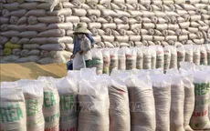 Chính phủ ban hành nghị quyết bảo đảm an ninh lương thực quốc gia đến năm 2030