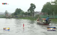 Nghề săn cá cơm trên sông Hậu