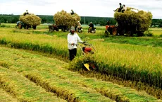 Năm 2030, thu nhập của người dân nông thôn cao hơn 2 lần năm 2020