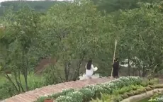 Nỗ lực giữ màu xanh cho Đà Lạt