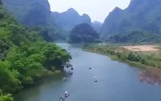 Rừng vối cổ thụ giữa Tràng An