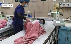 Hái nấm rừng gần nhà về ăn, cả nhà 4 người bị ngộ độc
