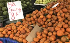 Cam sành đặc sản giá siêu rẻ 8.000 đồng/kg, tiểu thương tiết lộ sự thật
