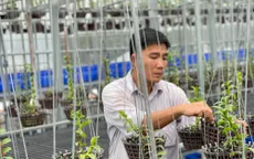 Trương Tuấn Anh chia sẻ bí kíp để thành công trong nuôi trồng hoa lan