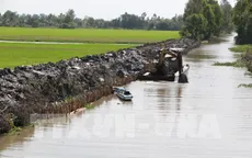 Mặn xâm nhập sâu vào nội đồng tại Đồng bằng sông Cửu Long