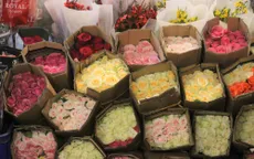 Tiểu thương chợ hoa lớn nhất TP Hồ Chí Minh lo cảnh "người đông, khách vắng" dịp lễ 8/3