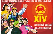 Sẽ có 3 đợt giám sát, kiểm tra cuộc bầu cử đại biểu Quốc hội khóa XV và bầu cử đại biểu HĐND các cấp