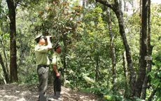 Lên kế hoạch đánh sập các hầm vàng trái phép tại Vườn quốc gia Sông Thanh
