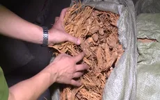 Đường dây buôn lậu thuốc bắc xuyên quốc gia: Hé lộ số tiền 'làm luật' khủng cho cán bộ hải quan
