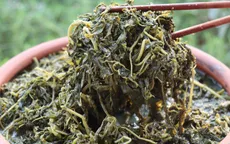 Những loại đặc sản "nhà nghèo" khiến dân Hà Nội săn lùng, mê mệt