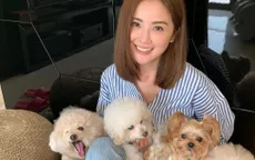 Sao Hong Kong Thái Trác Nghiên bị fan cuồng dọa đốt nhà