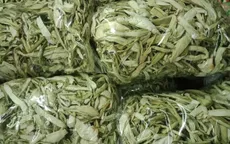 Dọc mùng sấy khô thành đặc sản nơi phố thị, "hét giá" 300.000 đồng/kg