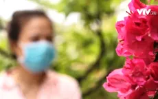 Nhiều người mất cả chì lẫn chài sau khi cho thuê ô tô theo hợp đồng