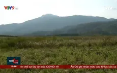 Mất sinh kế trên cánh đồng khô khát