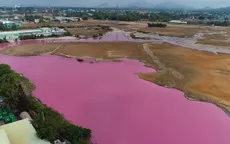 Kết luận nguyên nhân khiến nước trong đầm chứa ở Bà Rịa - Vũng Tàu đổi màu hồng tím