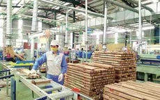 Kiểm soát tính hợp pháp của gỗ nhiệt đới nhập khẩu