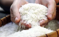 Việt Nam chưa mất thương hiệu gạo ST24, ST25