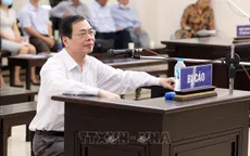 Hồ Thị Kim Thoa tham mưu gì cho Vũ Huy Hoàng trong phi vụ Sabeco Pearl?