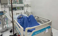 Trâu nhà húc nhau, cụ bà kẹt giữa bị thương nặng