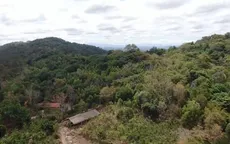 Nan giải bài toán trồng lại rừng vẫn đảm bảo môi trường và kinh tế