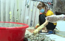 Cận cảnh bơm tạp chất vào tôm để trục lợi