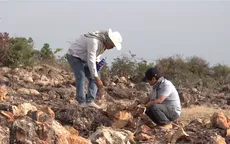 Bãi đá cổ hàng triệu năm bị đào xới tan hoang
