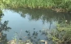 TP. HCM: Cảnh báo ô nhiễm nước qua nhiều vụ cá chết