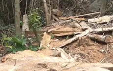Lâm tặc kê ván làm cầu, đổ bê tông làm dốc để vận chuyển gỗ trái phép