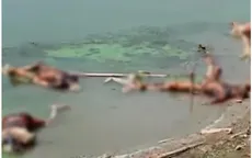 Nhiều thi thể nghi của bệnh nhân COVID-19 dạt vào bờ sông Hằng, tiềm ẩn rủi ro lây lan dịch bệnh