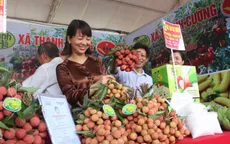 Vải thiều Thanh Hà lên sàn thương mại điện tử, giao hàng trong 4 giờ