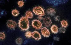 Phát hiện điểm yếu của virus SARS-CoV-2